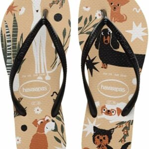 havaianas
